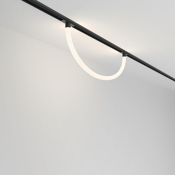 Трековый подвесной светильник Technical TR101-2-20W4K-B, изображение 5