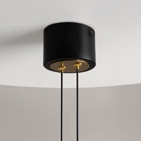 Подвесной светильник Maytoni MOD357PL-L20BS3K, изображение 7