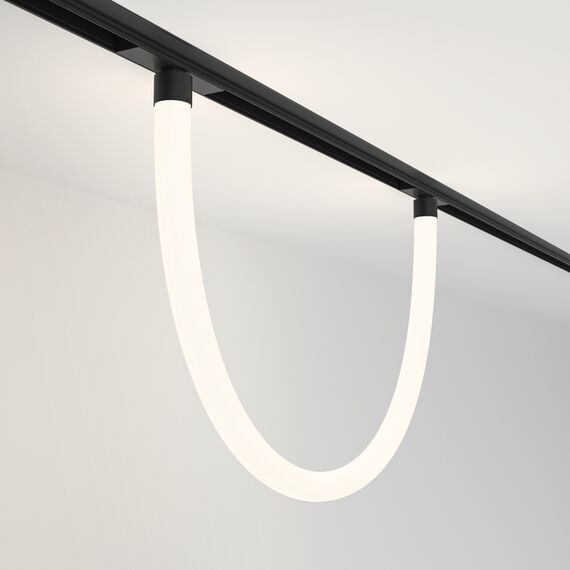 Трековый подвесной светильник Technical TR101-2-20W4K-B, изображение 2