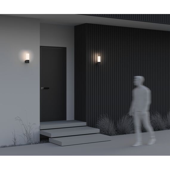 Настенный светильник (бра) Outdoor O418WL-01B, изображение 8