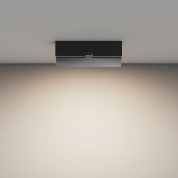 Потолочный светильник Technical C133CL-12W4K-B, изображение 6