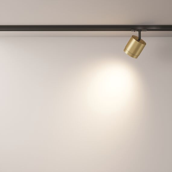 Трековый светильник Technical TR088-1-GX53-MG, изображение 6