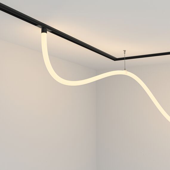 Трековый подвесной светильник Technical TR101-2-50W3K-B, изображение 2