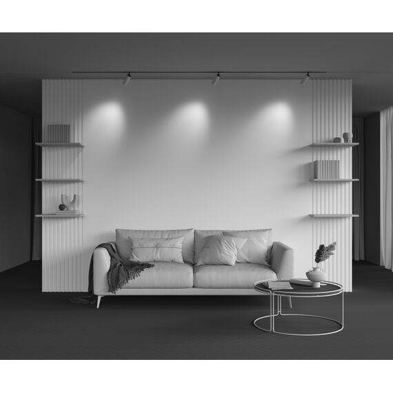 Трековый светильник Technical TR097-2-12W3K-M-BW, изображение 19