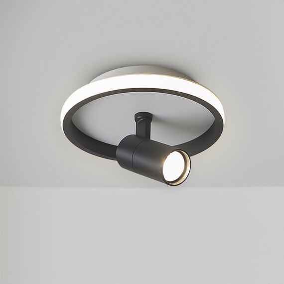 Потолочный светильник Freya FR6040CL-L14B, изображение 6