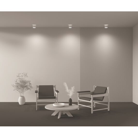 Потолочный светильник Technical C009CW-L12W4K, изображение 4