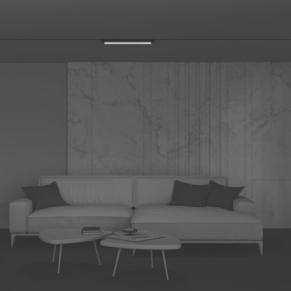 Трековый светильник Technical TR104-1-20W4K-B, изображение 5