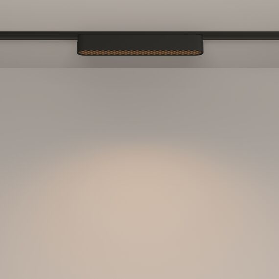 Трековый светильник Technical TR084-1-12W3K-B, изображение 3