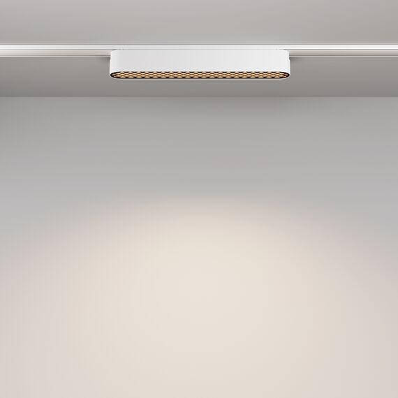 Трековый светильник Technical TR084-1-12W4K-W, изображение 9