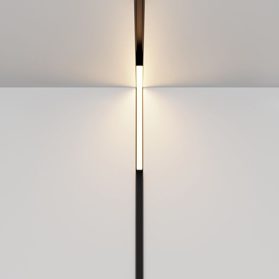 Трековый светильник Technical TR102-24W-DS-B, изображение 4