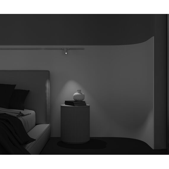 Трековый светильник Technical TR103-1-12W4K-M-W, изображение 16