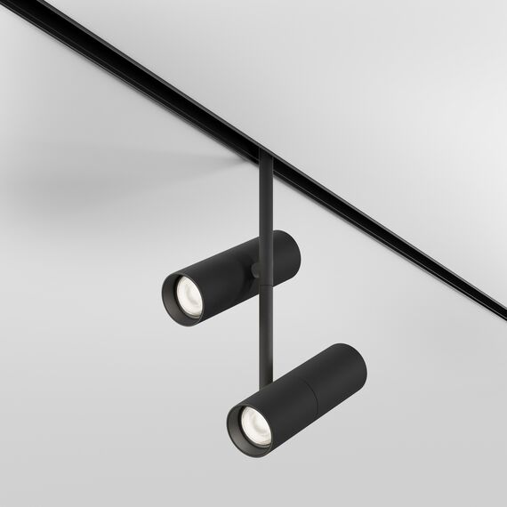 Трековый светильник Technical TR005-2-2X12W4K-B, изображение 3