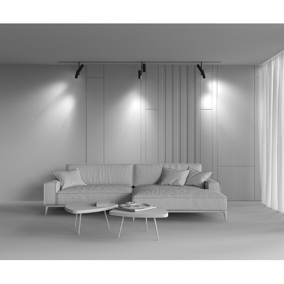 Трековый светильник Technical TR005-2-2X12W3K-B, изображение 7