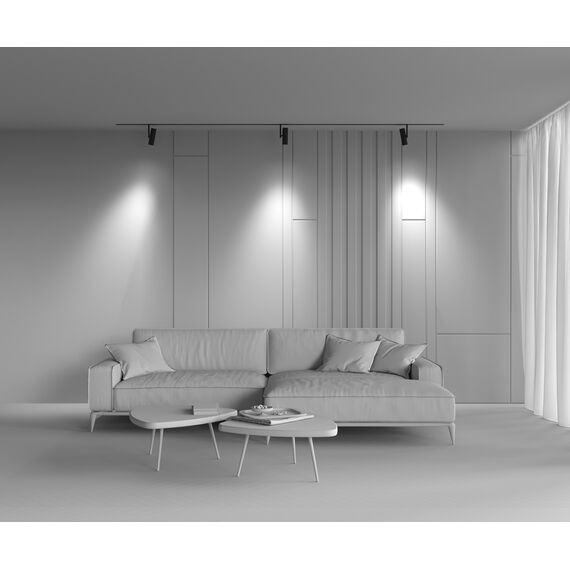 Трековый светильник Technical TR005-2-12W4K-B, изображение 8