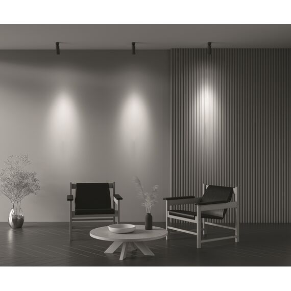 Потолочный светильник Technical C055CL-L12W4K-Z-B, изображение 12