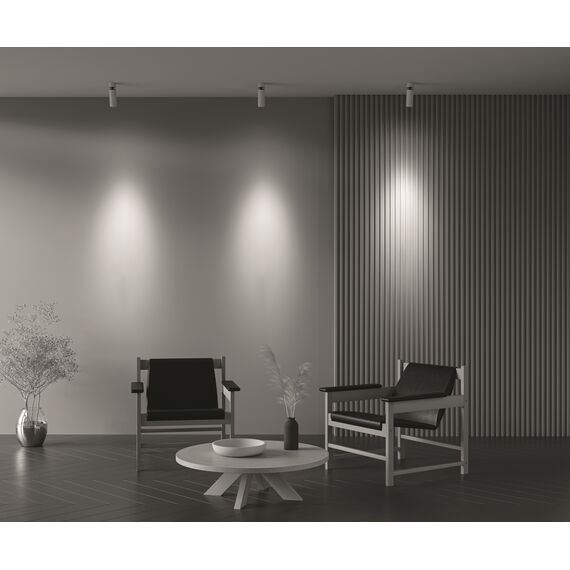 Потолочный светильник Technical C055CL-L12W4K-Z-W, изображение 10