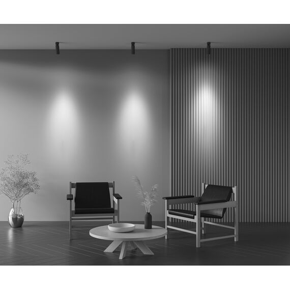 Потолочный светильник Technical C055CL-L12W3K-Z-B, изображение 22