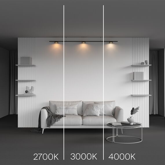 Трековый светильник Technical TR189-1-12W3K-BBS, изображение 5