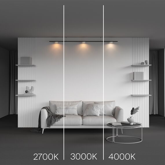 Трековый светильник Technical TR189-1-12W4K-BW, изображение 4