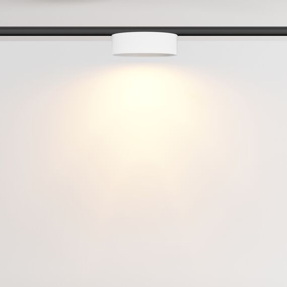 Трековый светильник Technical TR189-1-12W2.7K-BW, изображение 4