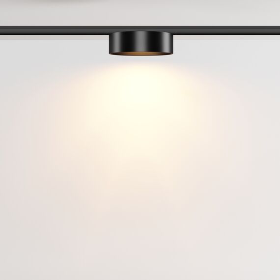 Трековый светильник Technical TR189-1-12W2.7K-B, изображение 6