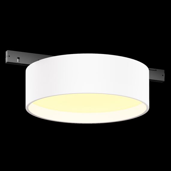 Трековый светильник Technical TR189-1-12W2.7K-BW, изображение 9