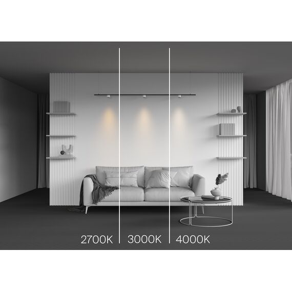 Трековый светильник Technical TR188-1-5W4K-M-BW, изображение 8