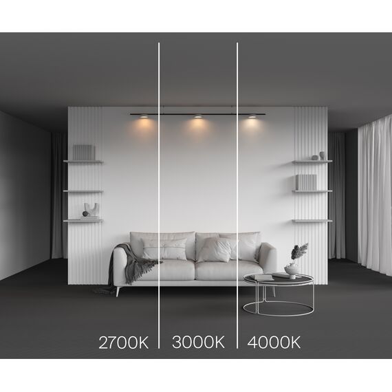 Трековый светильник Technical TR189-1-12W3K-BW, изображение 8