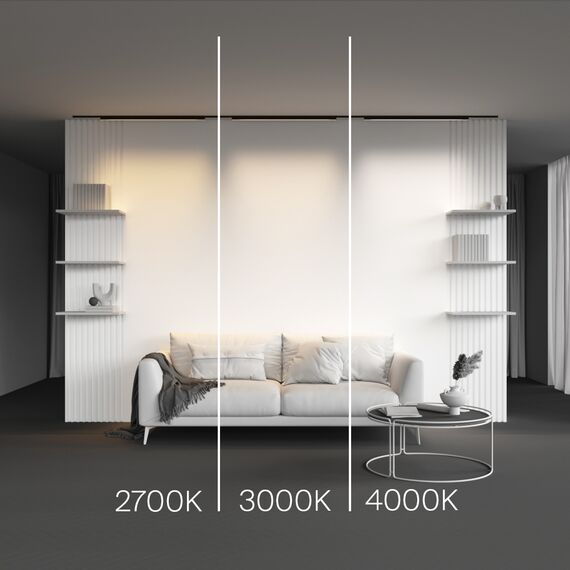 Трековый светильник Technical TR192-1-21W3K-B, изображение 5