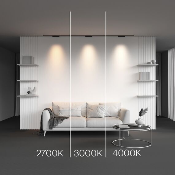 Трековый светильник Technical TR193-1-10W2.7K-M-B, изображение 2