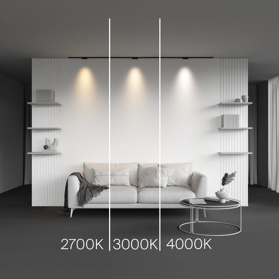 Трековый светильник Technical TR193-1-5W2.7K-M-B, изображение 3