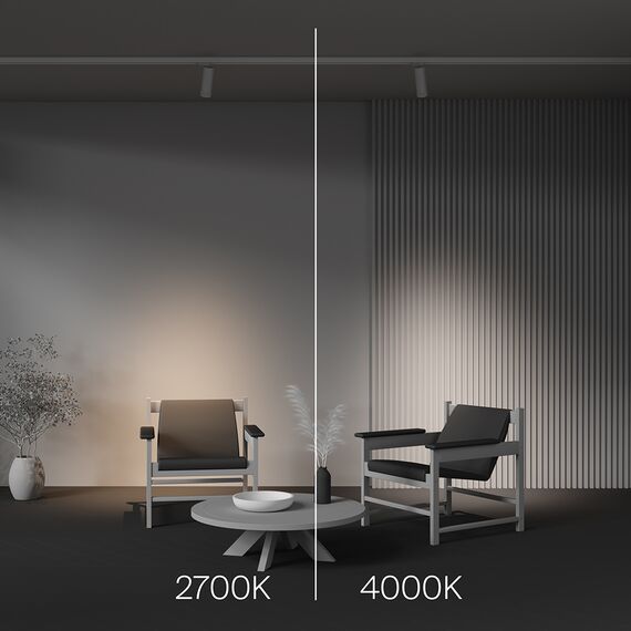 Трековый светильник Technical TR198-3-20W2.7K-Z-W, изображение 8