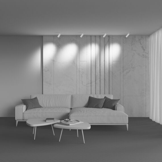 Трековый светильник Technical TR211-1-12W3K-Z-W, изображение 7