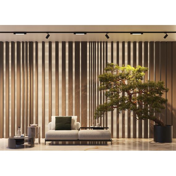 Трековый светильник Technical TR196-3-10W2.7K-B, изображение 3