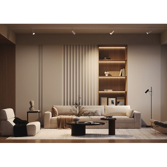 Трековый светильник Technical TR197-3-12WCCT-M-B, изображение 12