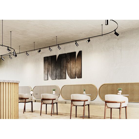 Трековый светильник Technical TR201-1-5W3K-M-B, изображение 3