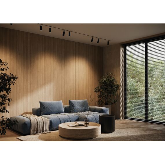 Трековый светильник Technical TR211-1-12W3K-Z-B, изображение 2