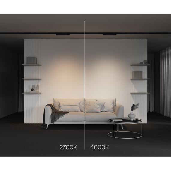 Трековый светильник Technical TR196-3-10W4K-B, изображение 10