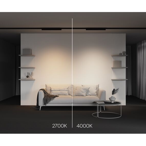 Трековый светильник Technical TR196-3-20W4K-B, изображение 10