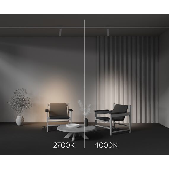 Трековый светильник Technical TR198-3-20W2.7K-Z-W, изображение 9