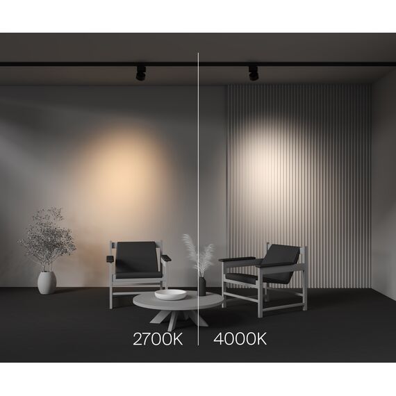 Трековый светильник Technical TR199-3-15W4K-M-B, изображение 9