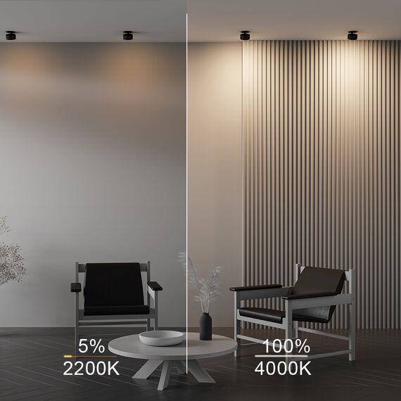 Встраиваемый светильник Technical DL024-12W-DTW-B, изображение 6