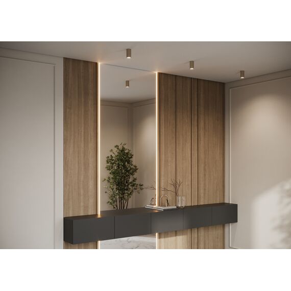 Потолочный светильник Technical C106CL-01-GU10-BS, изображение 2