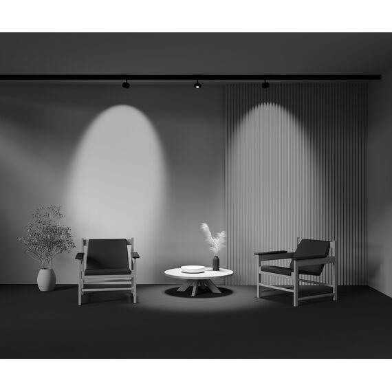 Трековый светильник Technical TR217-2-15W3K-B, изображение 10