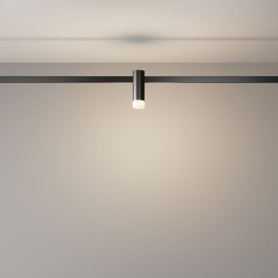 Трековый светильник Technical TR145-1-3W4K-W-B, изображение 4