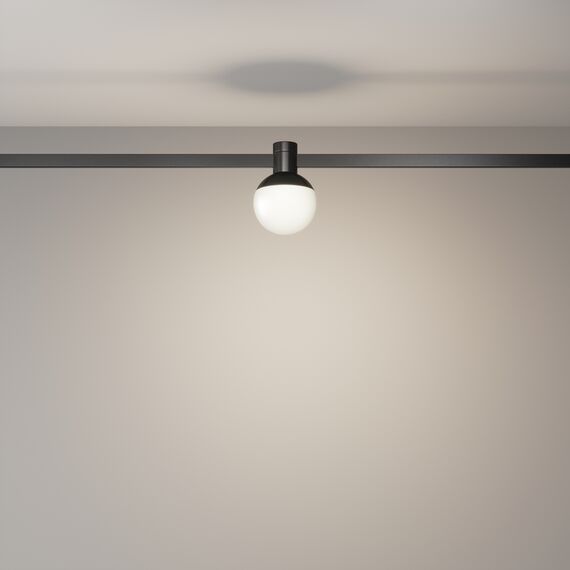 Трековый светильник Technical TR149-1-5W4K-B, изображение 4