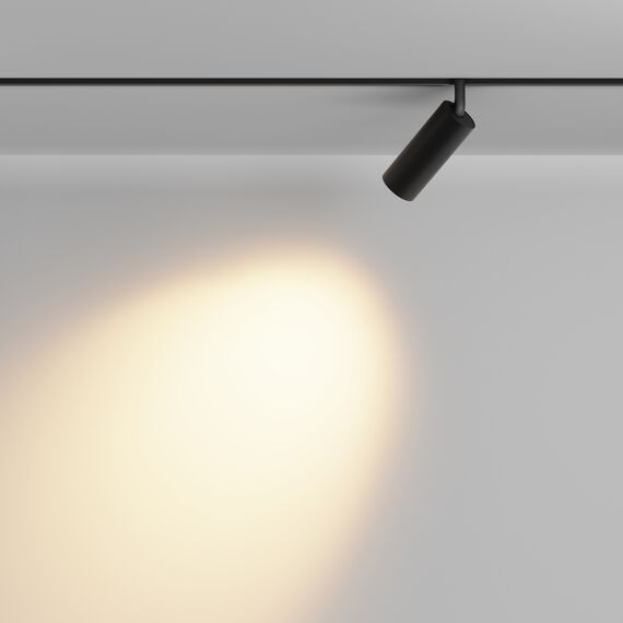 Трековый светильник Technical TR032-2-12W2.7K-M-B, изображение 4