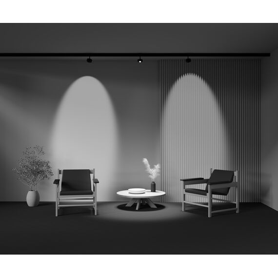 Трековый светильник Technical TR217-2-15W4K-B, изображение 12