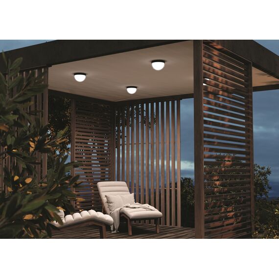 Потолочный светильник Outdoor O438CL-L12GF3K, изображение 9