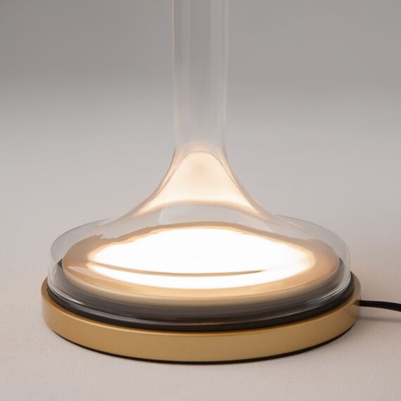 Настольный светильник Maytoni MOD286TL-L18G3K, изображение 8